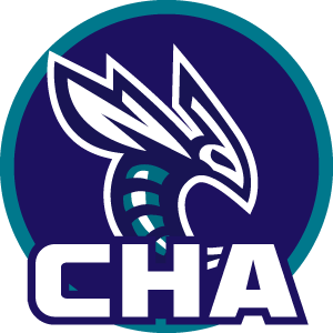 申花